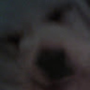 Meet your Posher, Johnny